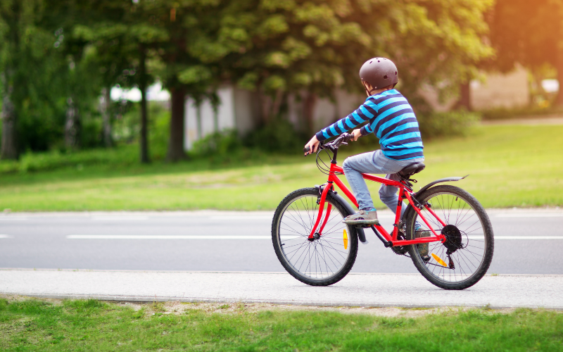 Seguro para Bicicletas (2)